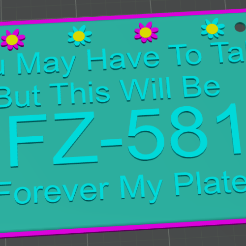 Customizable decorative license plate